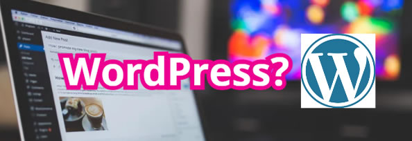 Como escolher tema WordPress